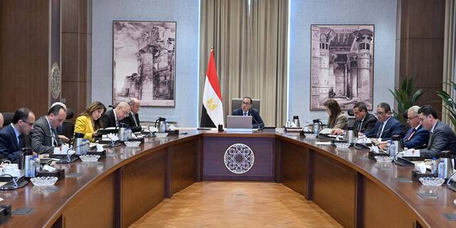 اجتماع الحكومة المصرية