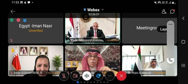 جانب من اللقاء عن بعد