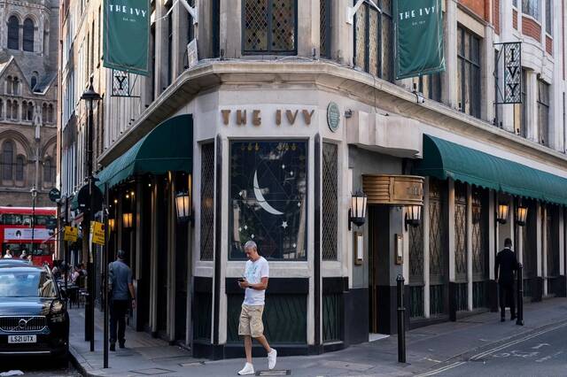 The Ivy