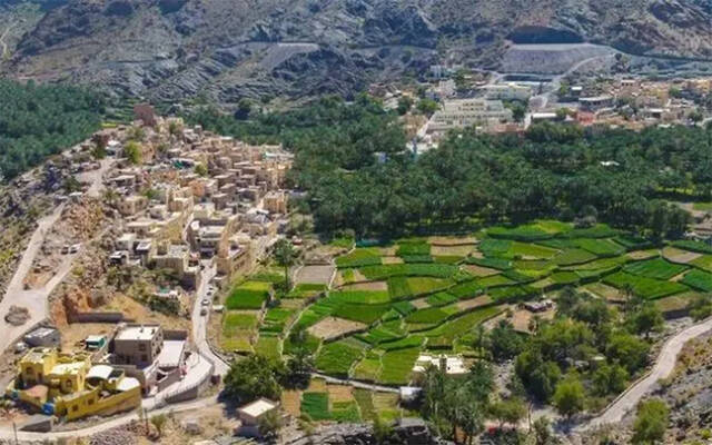 محافظة جنوب الباطنة