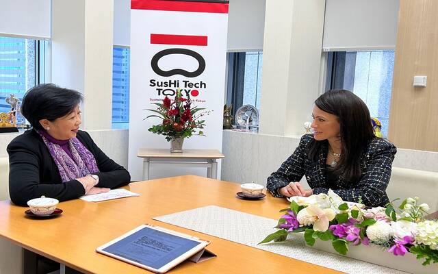 رانيا المشاط وزيرة التخطيط والتنمية الاقتصادية والتعاون الدولي