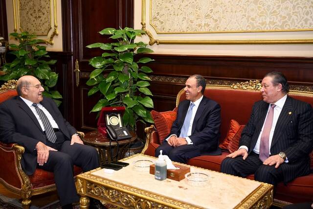 وزير الخارجية يبحث مع البرلمان سبل رعاية المصريين بالخارج