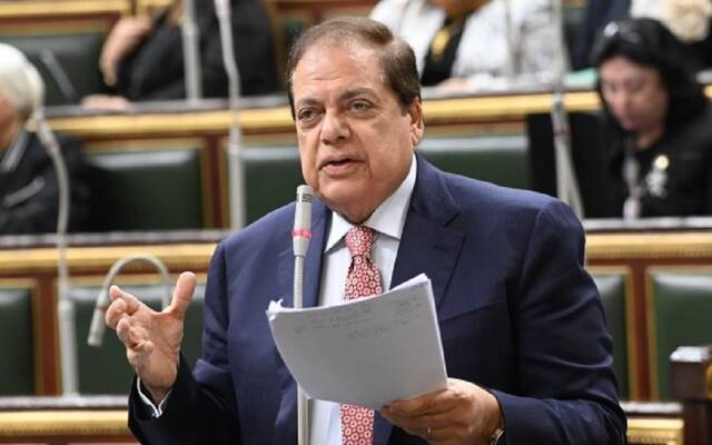 محمد أبو العينين عضو مجلس النواب المصري