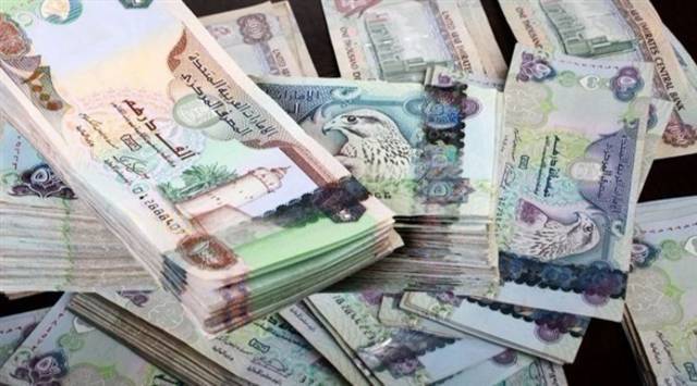 معايير"المركزي" الإماراتي تحل مشكلة البنوك