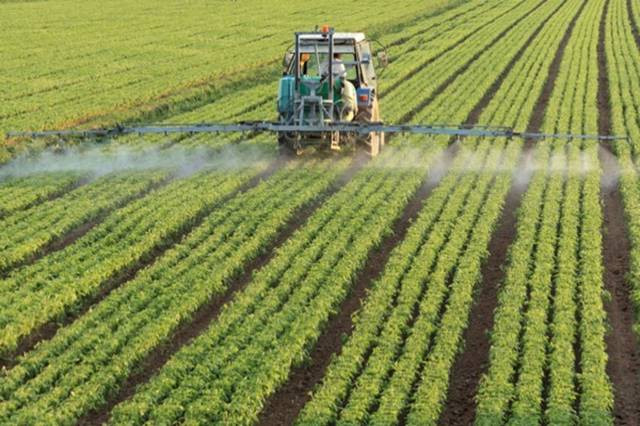 SABIC Agri-Nutrients’ profits leap 494% in Q1-22 initial financials