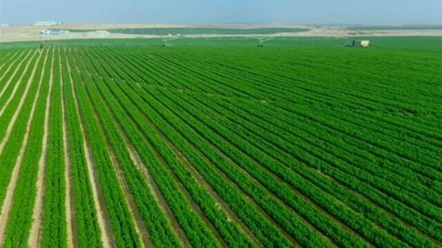 منطقة الدلتا الجديدة