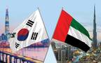 علما الإمارات وكوريا الجنوبية
