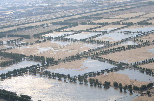 الكويت تعوض جميع المزارع المتضررة من الأمطار