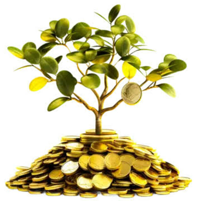 أسعار وثائق صناديق الاستثمار النقدية والدخل الثابت 18-11-2025