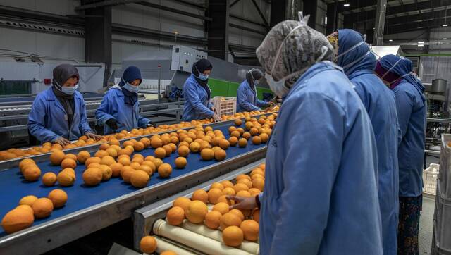 عمال في مصنع تعبئة وفرز فواكه