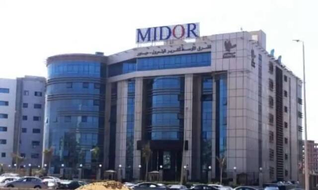 "القابضة المصرية الكويتية"