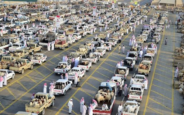 بيع الأنعام عبر السيارات المتنقلة