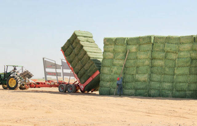 "أبوظبي للزراعة" توقع اتفاقيات "سوق الأعلاف" مع 13 شركة وطنية