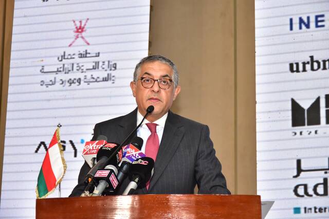 حسام هيبة، الرئيس التنفيذي للهيئة العامة للاستثمار والمناطق الحرة