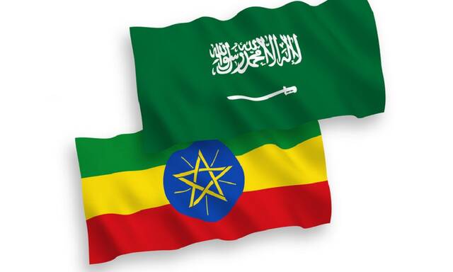 Saudi Arabia, Ethiopia agree to form business council