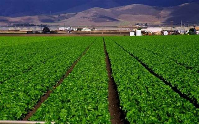 صادرات مصر الزراعية ترتفع إلى 2.4 مليار دولار خلال 2020-2021