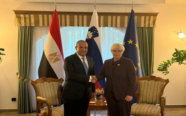 مصر وسلوفينيا وسلوفاكيا تبحث تعزيز التعاون الثنائي والتنسيق بشأن قضية فلسطين