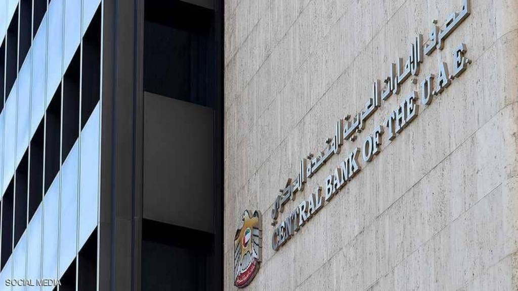 البنوك الإماراتية تضخ 11 مليار درهم قروضاً جديدة للقطاع الخاص