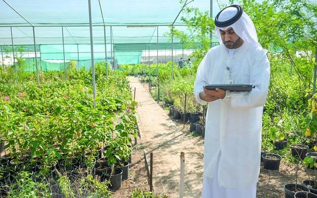 مباحثات وزارية لدعم المزارعين ودفع القطاع في الكويت