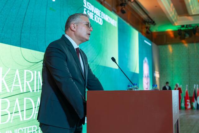 وزير البترول كريم بدوي