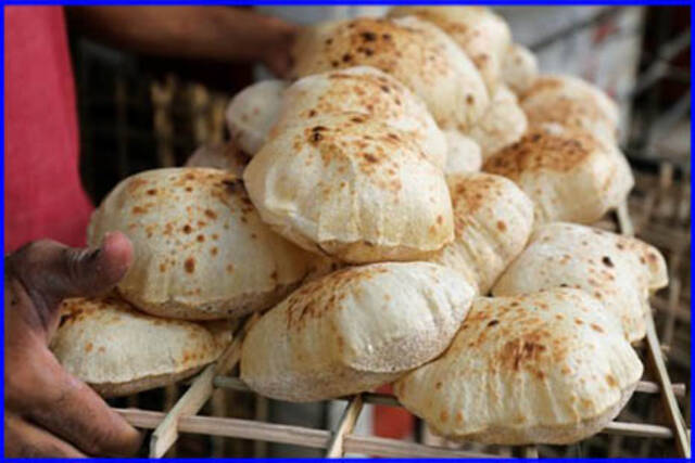ارشيفية