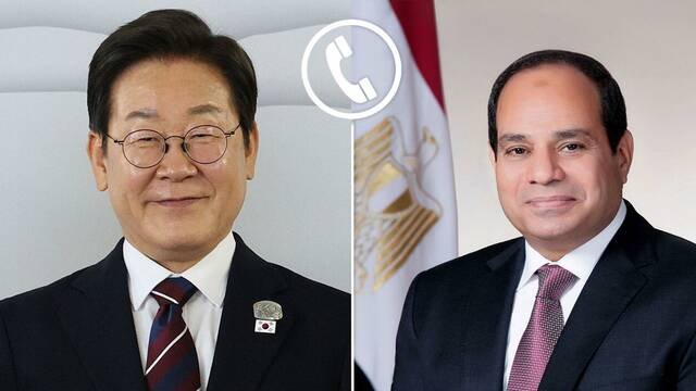 الرئيس المصري عبد الفتاح السيسي - الرئيس الكوري لي جاي ميونج