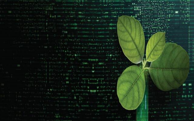 توقعات بتجاوز السوق العالمي لتكنولوجيا الطاقة النظيفة 650 مليار دولار بحلول 2023