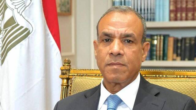 وزير الخارجية المصري