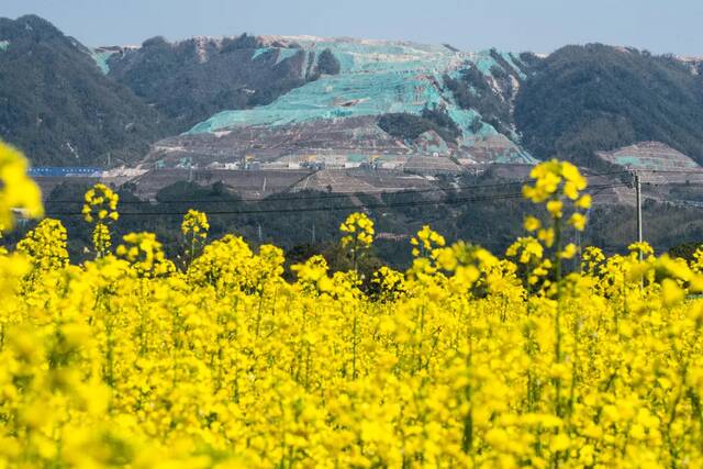 انخفاض أسهم الليثيوم مع استعداد منجم كاتل لإعادة التشغيل المبكر