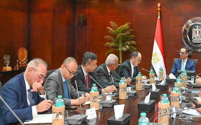 وزير الاستثمار يبحث مع شركتين فرص الاستثمار في مجال صناعة الإطارات بمصر