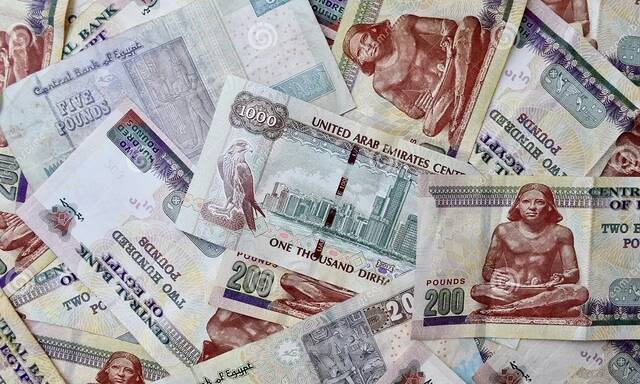 UAE’s Al Ansari Financial Services witnesses surge in remittance to Egypt post pound devaluation