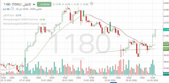 الأداء اليومي لسهم "الأهلي" - كل 4 ساعات