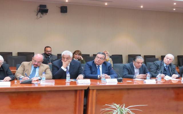 وزير المالية المصري: لا نستهدف غلق مصنع وجادون في تحفيز بيئة الأعمال