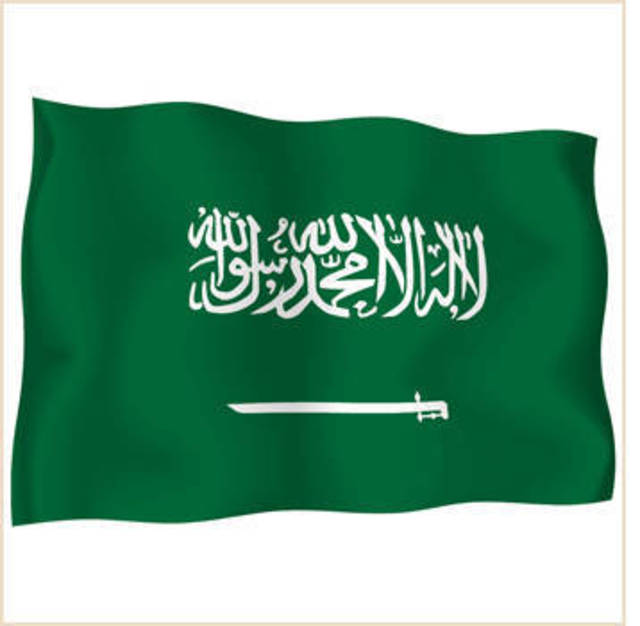 السعودية تفتتح أكبر وحدة تحلية متعدّدة التأثير في العالم