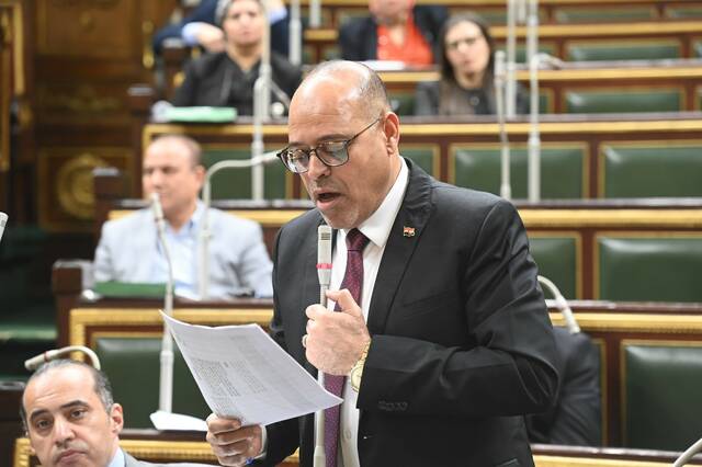 وزير العمل المصري محمد جبران