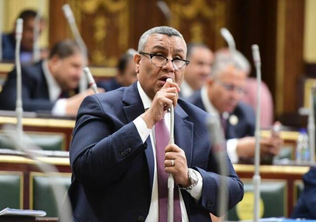 مصطفى سالم وكيل لجنة الخطة والموازنة في البرلمان المصري