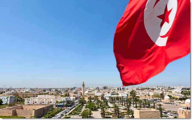 علم الجمهورية التونسية