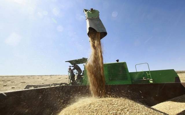 ضبط 7 أطنان من القمح بمحافظة كفر الشيخ قبل ضخها في السوق السوداء