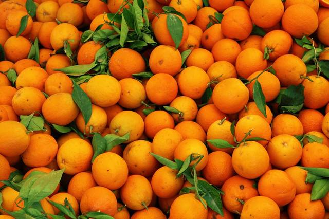 العراق يسمح باستيراد البرتقال لقلة إنتاجه