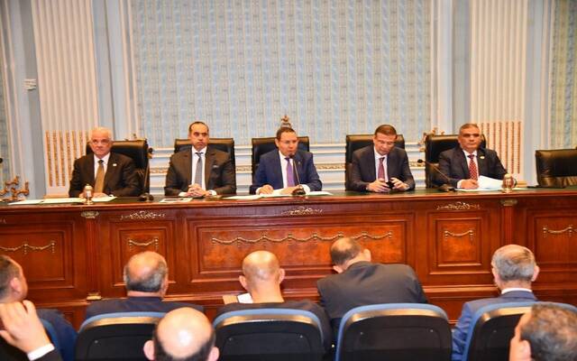 علاء فاروق وزير الزراعة واستصلاح الأراضي المصري خلال اجتماع لجنة الزراعة والري بمجلس النواب