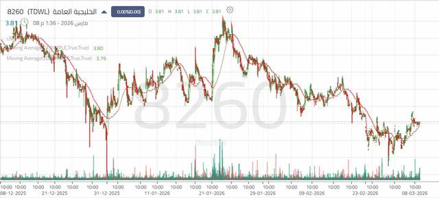 الأداء اليومي لسهم "الخليجية العامة"