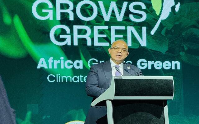 فريد: استحداث قائمة سندات الاستدامة لتعزيز التمويل البيئي بمصر وإفريقيا