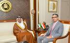 جانب من الاجتماع بين الوزير المصري وسفير الإمارات