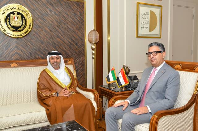 جانب من الاجتماع بين الوزير المصري وسفير الإمارات