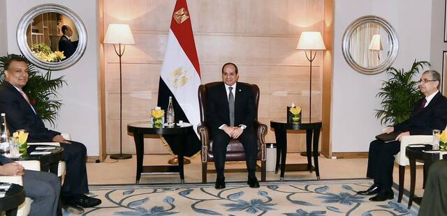 السيسي يبحث مع رينيو باور الهندية التعاون بشأن مشروعات لإنتاج الكهرباء في مصر