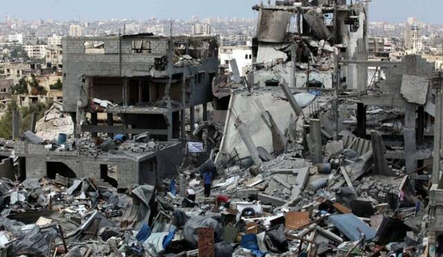 النمسا تقرر زيادة المساعدات للفلسطينيين وترحب بإنشاء ممر إنساني إلى غزة
