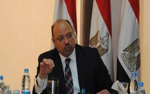 Egypt's economic growth seen reaching 3.5% in Q4-13/14, Dimian says