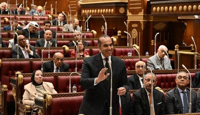 "الشيوخ" المصري يقر دراسة الأثر التشريعي لقانون شركات الأشخاص