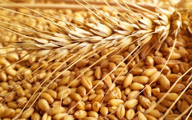 الحكومة المغربية توضح أسباب إلغاء الرسوم الجمركية على القمح