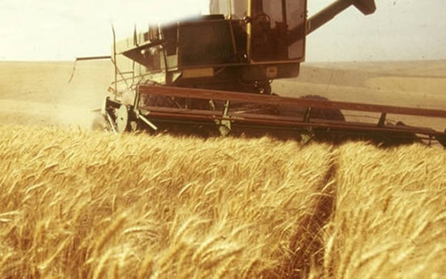 أرباح المالية والصناعية السنوية تتراجع 50%